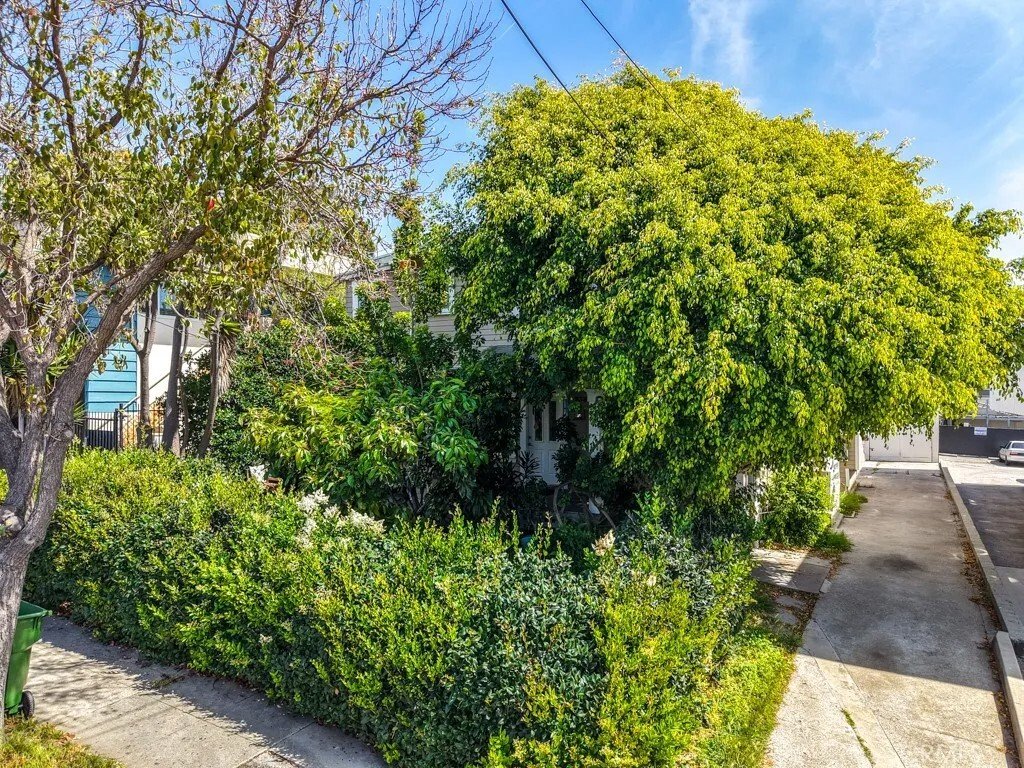 Santa Monica, California, United States 3 - 17534347