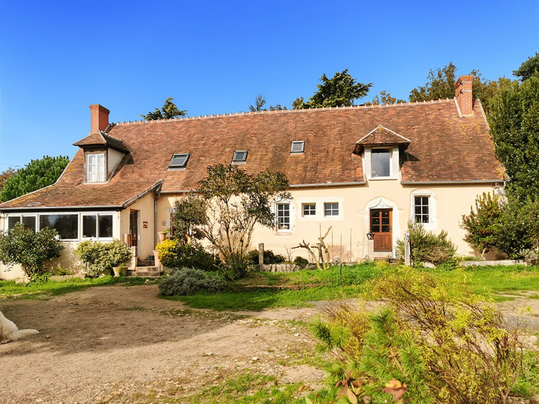 Villa in Faverdines, Centre-Val de Loire, France 4 - 18109412