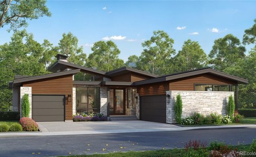 House in Parker, Colorado, United States 1