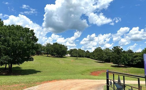 House in Ben Wheeler, Texas, United States 1