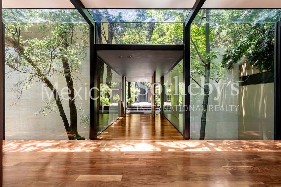 House in Mexico City, Mexico 4 - 18110900