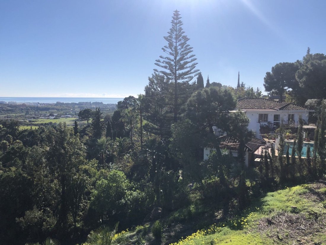 House in Estepona, Andalusia, Spain 2 - 18112130