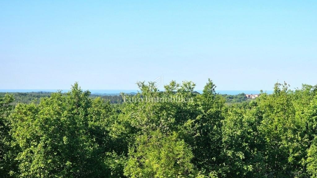 House in Baderna - Mompaderno, Istria County, Croatia 5 - 15690467