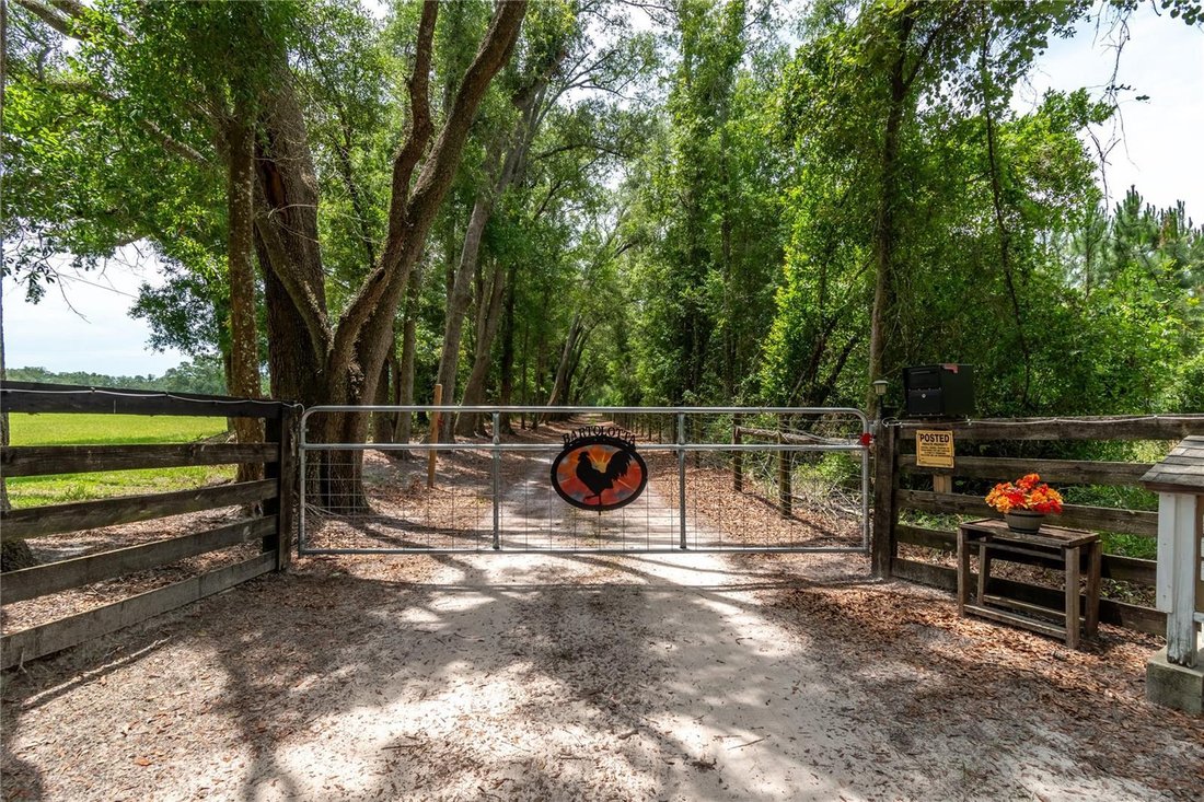 House in McAlpin, Florida, United States 5 - 18112493