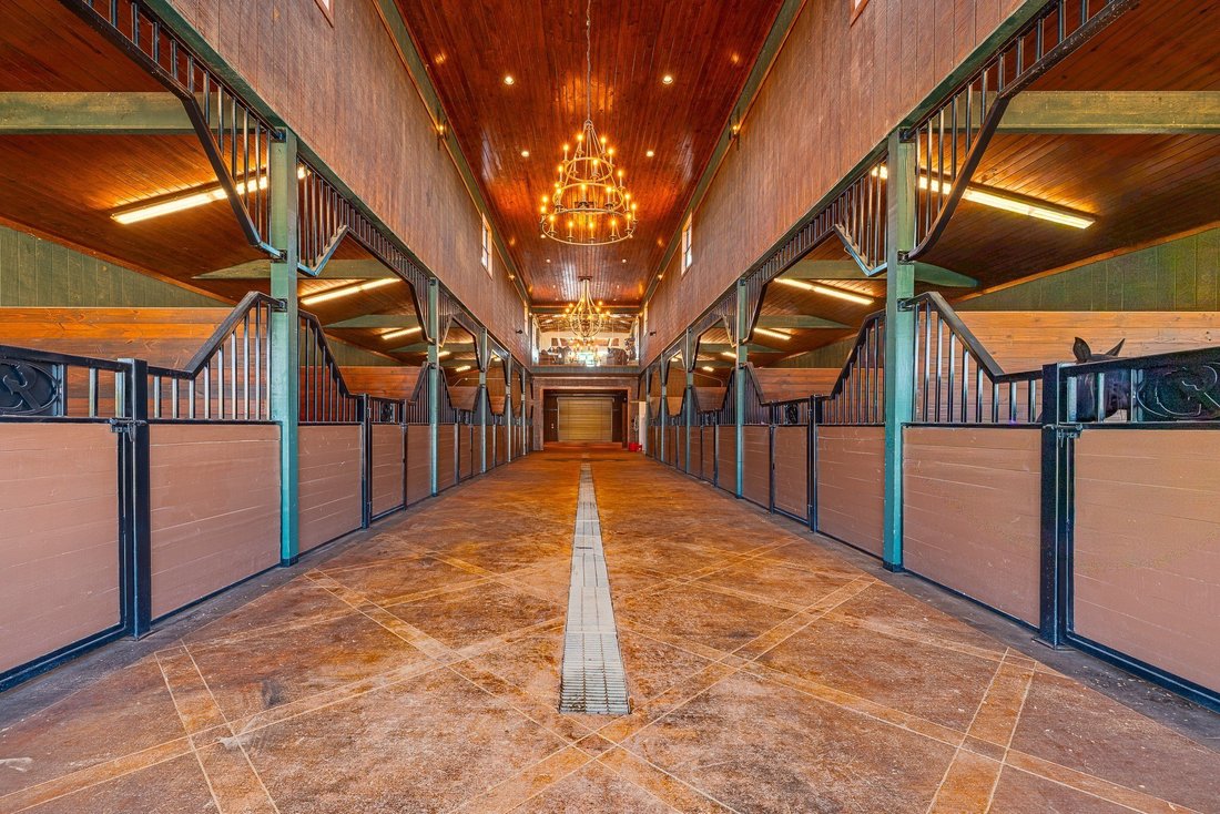 Farm Ranch in Montgomery, Texas, United States 5 - 18115431