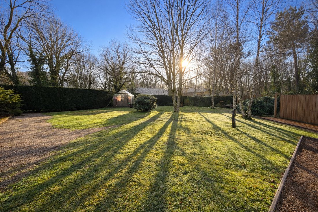 Villa in Belin-Beliet, Nouvelle-Aquitaine, France 4 - 18111650