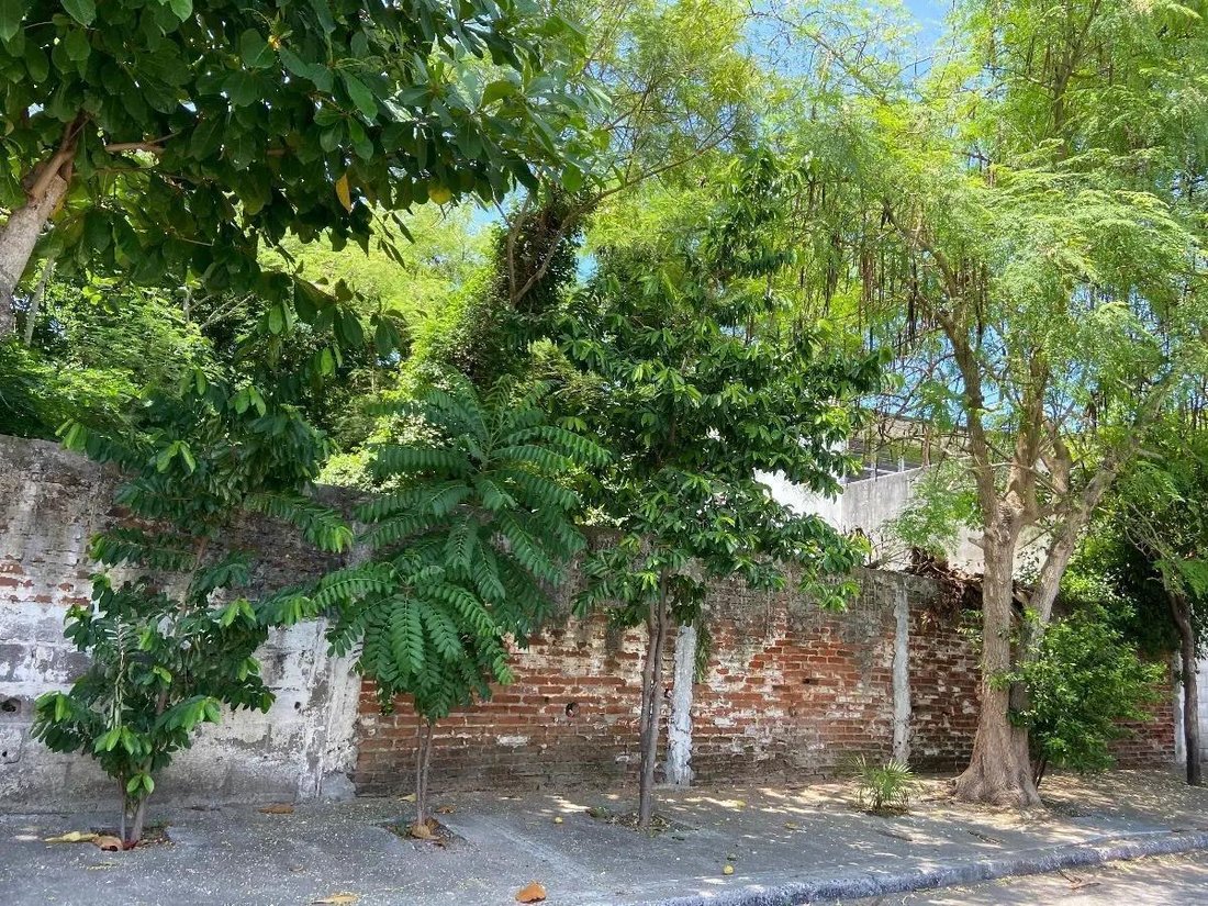 Terrain à Boca del Río, Veracruz, Mexique 2 - 18110246