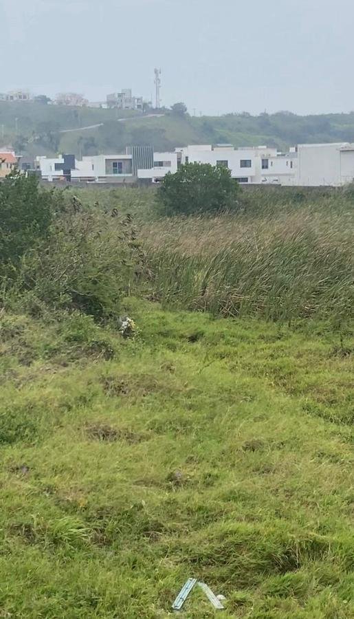 Land in Mandinga y Matoza, Veracruz, Mexico 4 - 18110224