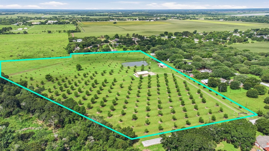 Azienda agricola a Rosenberg, Texas, Stati Uniti 4 - 18110414