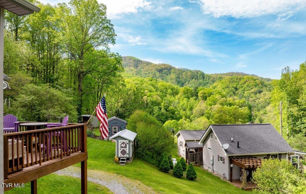 House in Flag Pond, Tennessee, United States 2 - 17791801