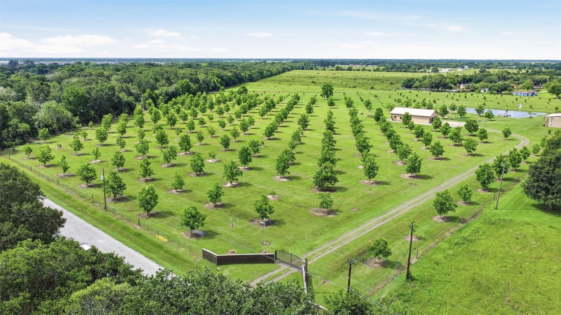 Azienda agricola a Rosenberg, Texas, Stati Uniti 1 - 18110414