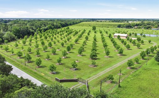 Farm Ranch in Rosenberg, Texas, United States 1