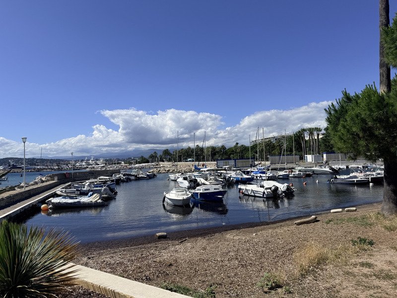 Apartment in Cannes, Provence-Alpes-Côte d'Azur, France 3 - 18111264