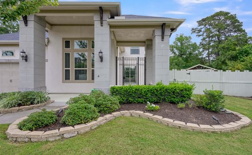 House in Conroe, Texas, United States 1