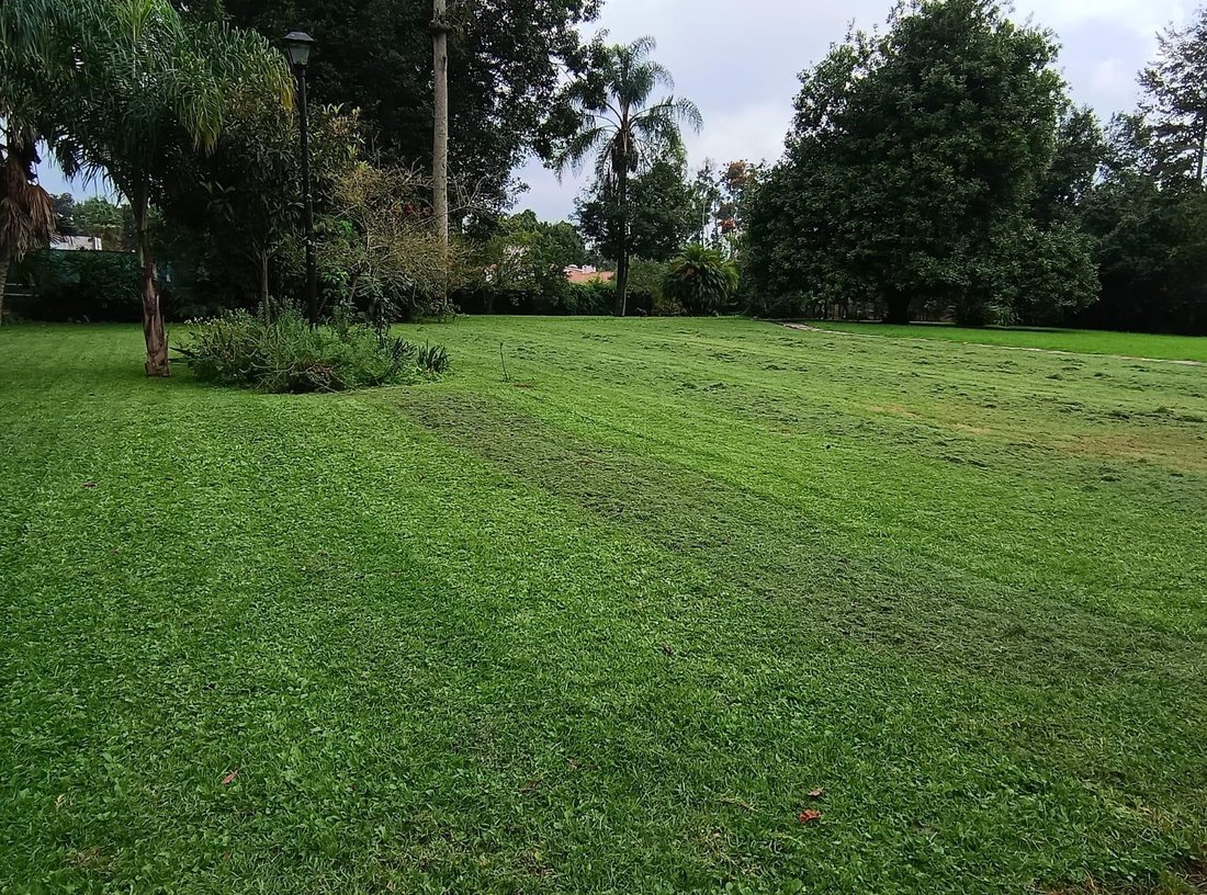 Land in Xalapa, Veracruz, Mexico 1 - 18114896