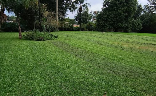 Land in Xalapa, Veracruz, Mexico 1