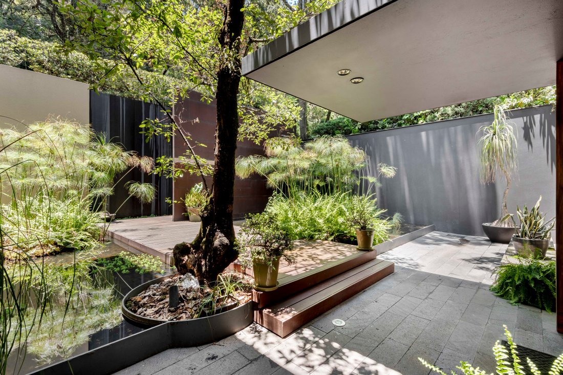 House in Mexico City, Mexico 1 - 18110900