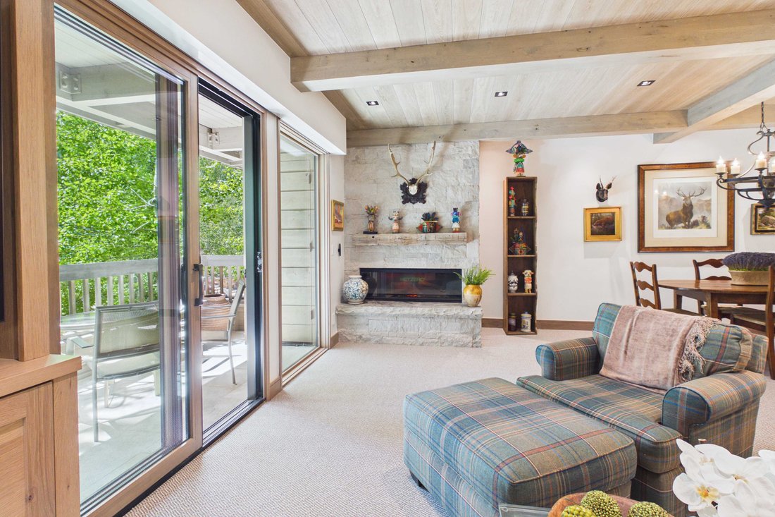 Condo in Aspen, Colorado, United States 3 - 17539187