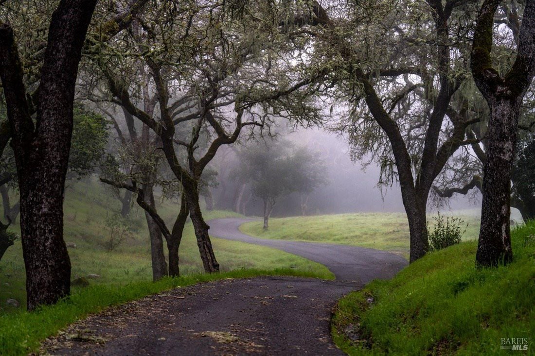 House in St. Helena, California, United States 3 - 18114237