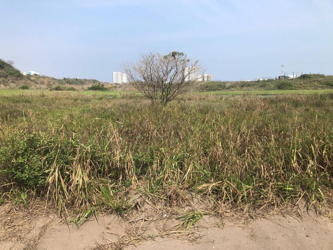 Land in Punta Tiburón, Veracruz, Mexico 2 - 18110225