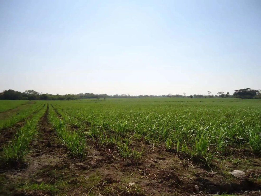 Land in Tierra Blanca, Veracruz, Mexico 4 - 18110233