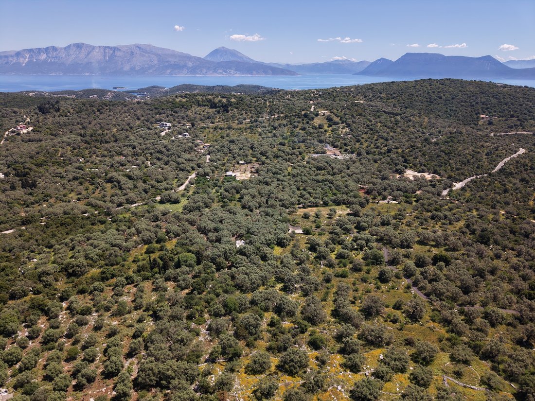 Land in Community of Spartochori, Peloponnese, Western Greece and the Ionian, Greece 2 - 18112543