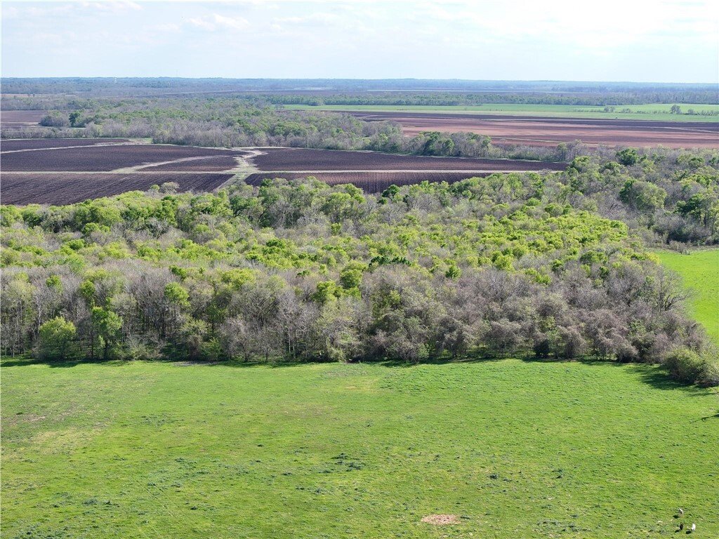 Farm Ranch in Navasota, Texas, United States 5 - 18113007