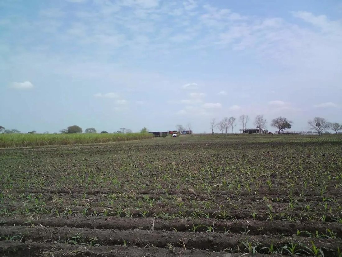 Land in Tierra Blanca, Veracruz, Mexico 5 - 18110233