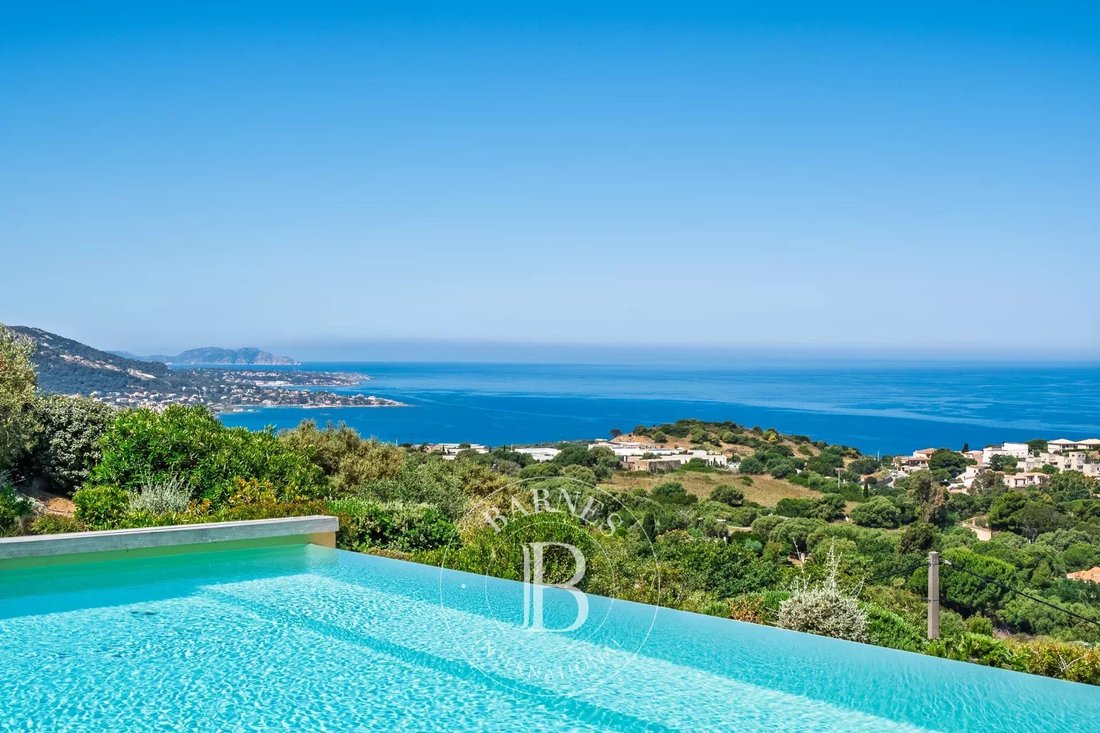 Villa in Corbara, Corsica, France 1 - 18111593