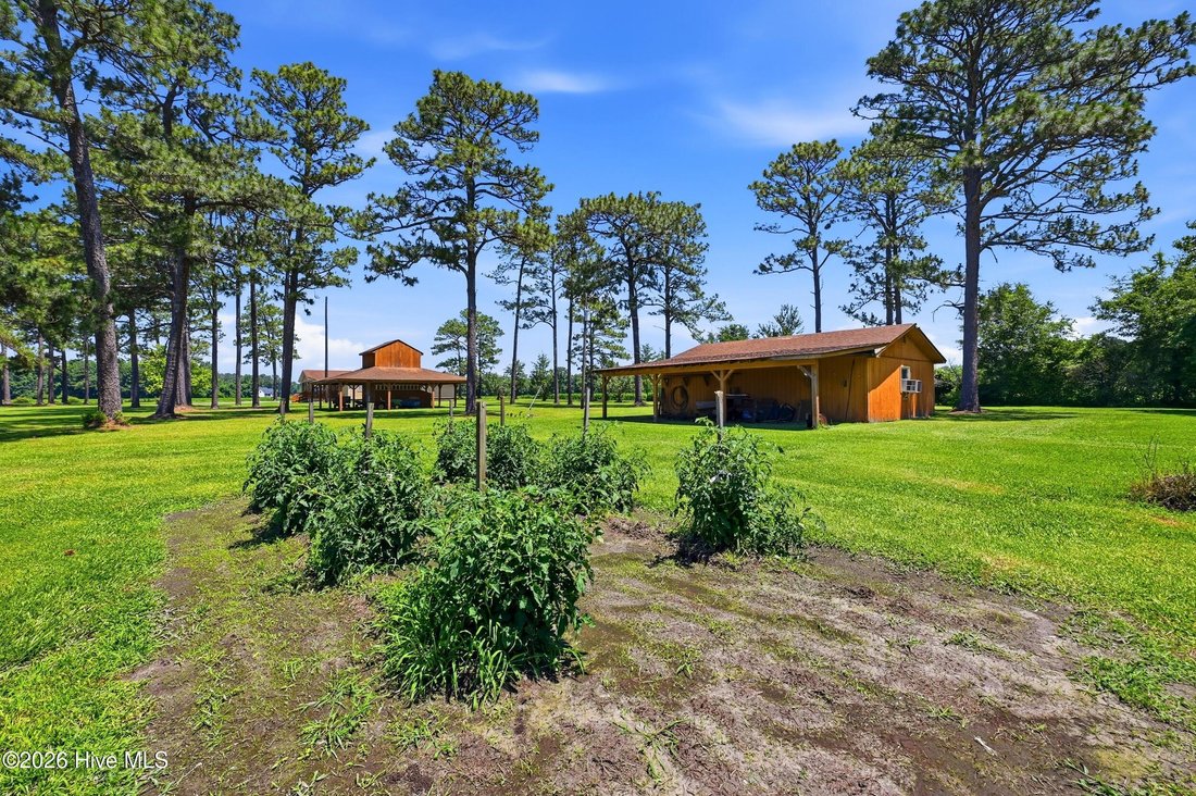 House in Burgaw, North Carolina, United States 5 - 18113019