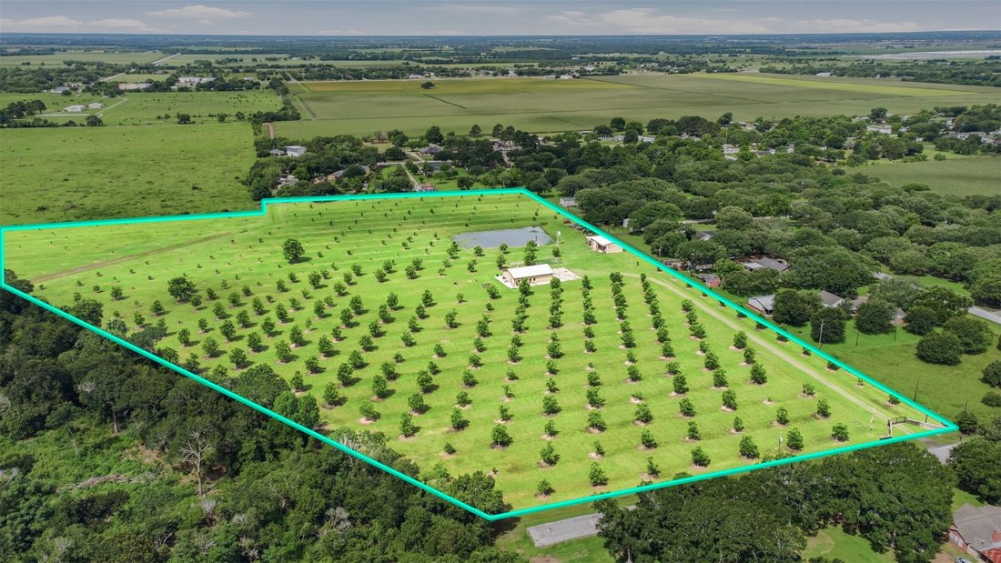 Azienda agricola a Rosenberg, Texas, Stati Uniti 3 - 18110414