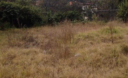 Land in Mexico City, Mexiko 1