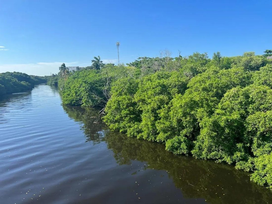 Terrain à Boca del Río, Veracruz, Mexique 1 - 18110246