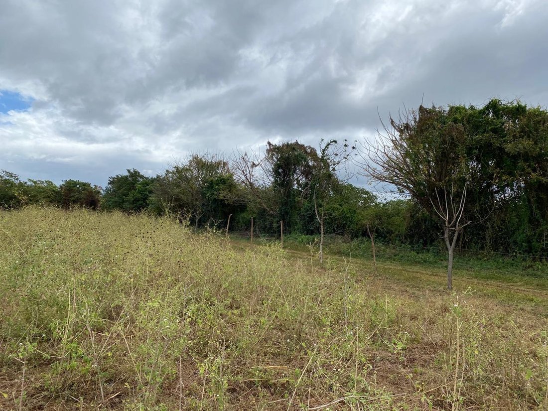 Land in Nindirí, Masaya, Nicaragua 3 - 18113117