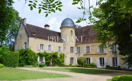 Chateau in Montignac-Lascaux, Nouvelle-Aquitaine, France 1
