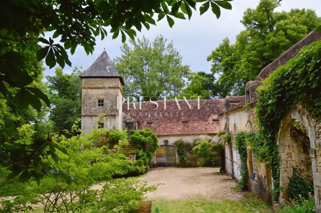 Chateau in Montignac-Lascaux, Nouvelle-Aquitaine, France 3 - 18070531