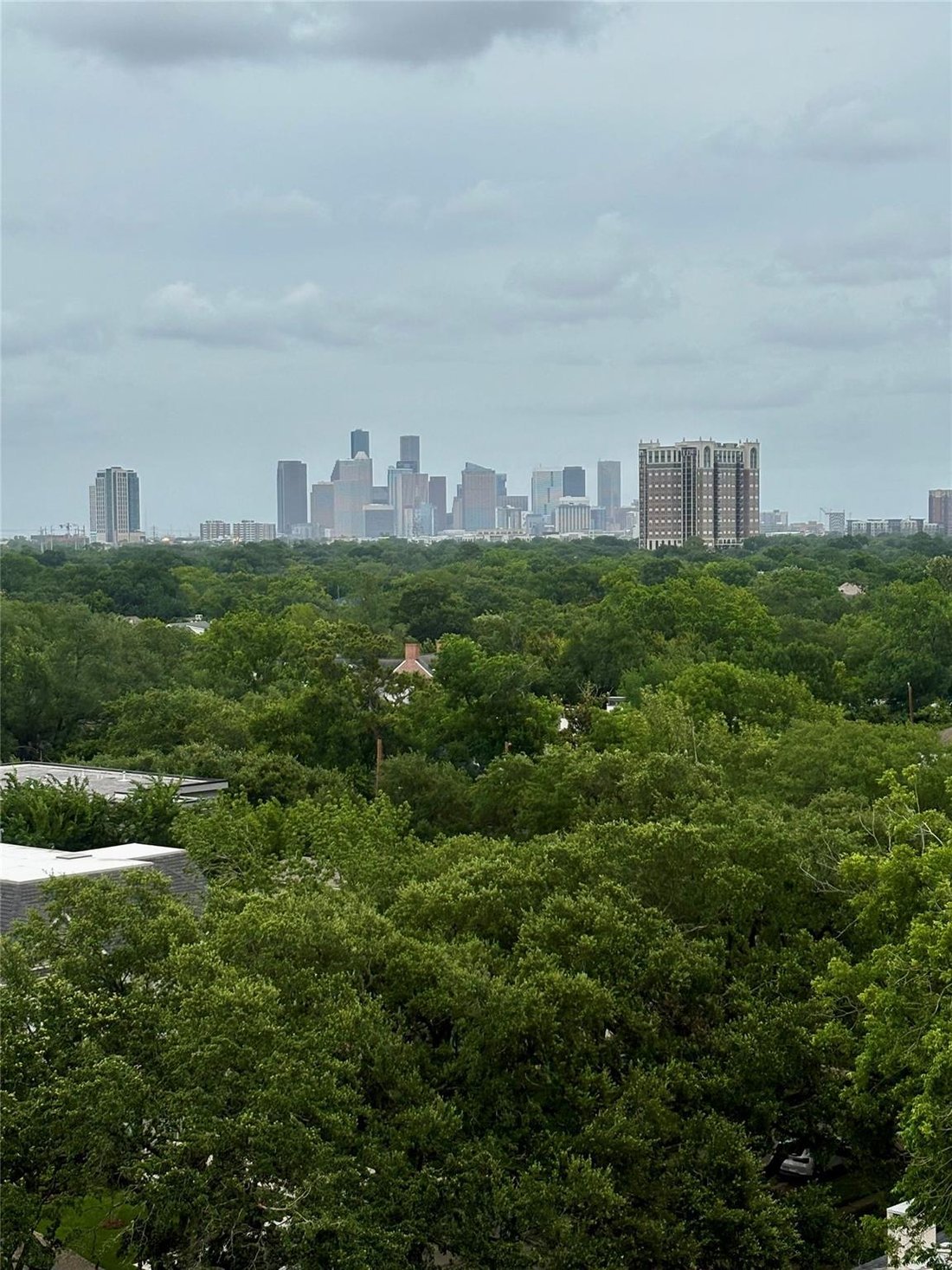 Condo in Houston, Texas, United States 5 - 18085809