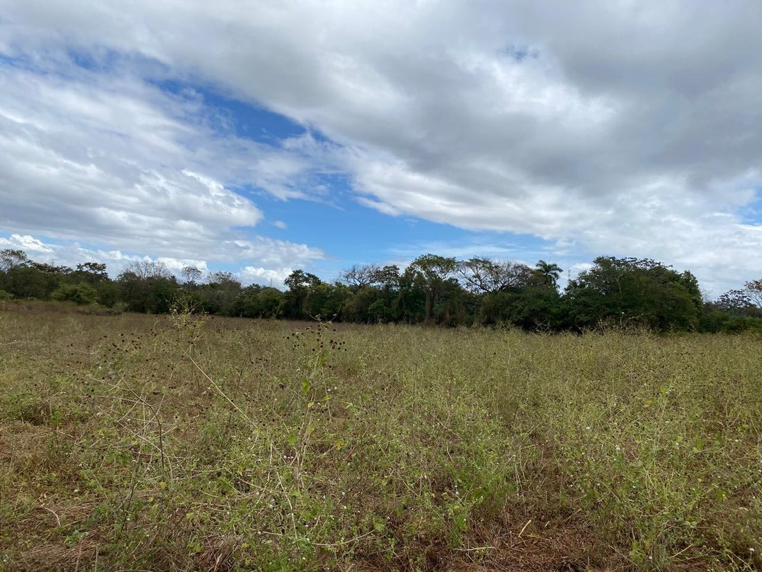 Land in Nindirí, Masaya, Nicaragua 2 - 18113117