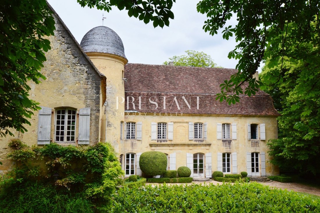 Chateau in Montignac-Lascaux, Nouvelle-Aquitaine, France 5 - 18070531
