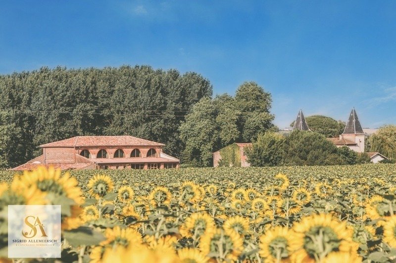Castle in Saint Cyprien, Toulouse, France 3 - 18111304