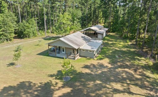 House in Claxton, Georgia, United States 1