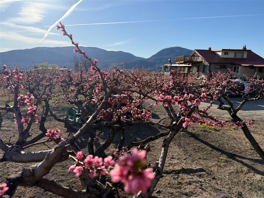Land in Penticton, British Columbia, Canada 1 - 17650096