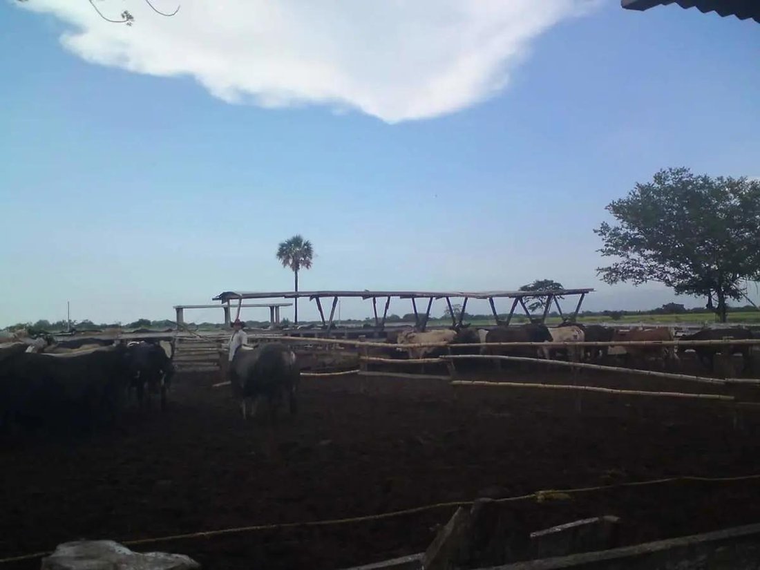 Land in Tierra Blanca, Veracruz, Mexico 2 - 18110233