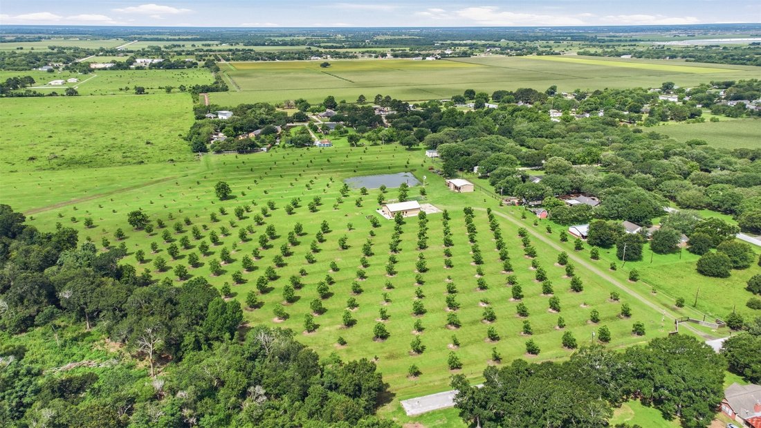 Azienda agricola a Rosenberg, Texas, Stati Uniti 5 - 18110414