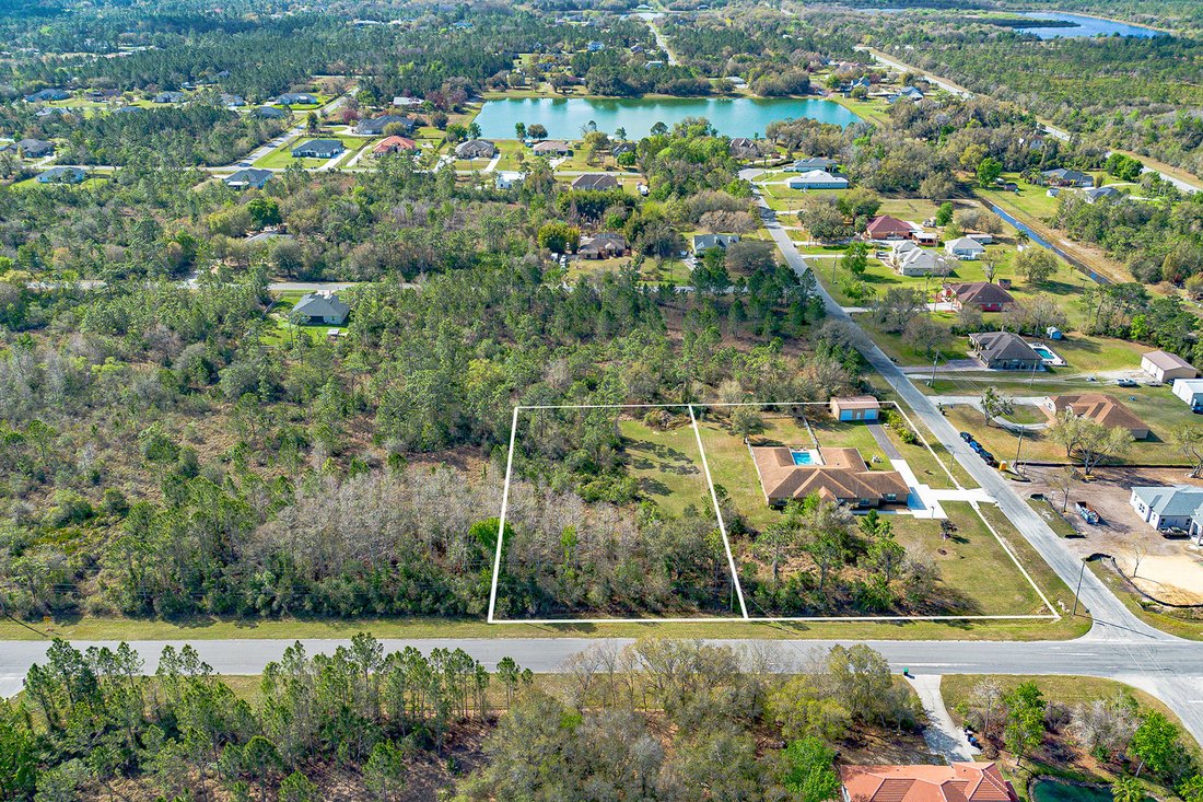 Farm Ranch in Orlando, Florida, United States 3 - 17435085