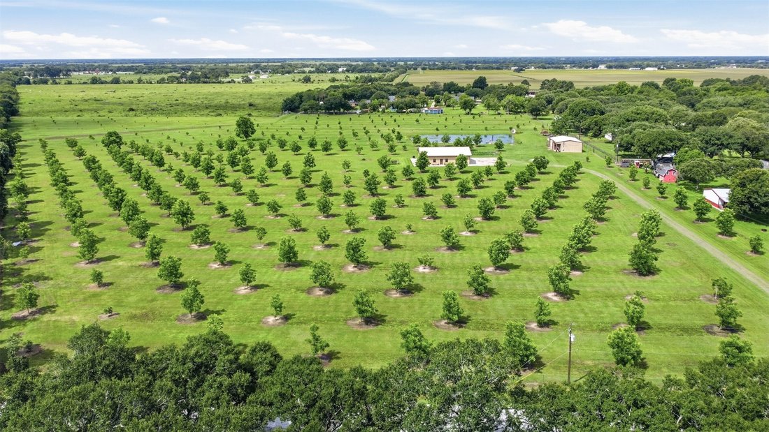 Azienda agricola a Rosenberg, Texas, Stati Uniti 2 - 18110414