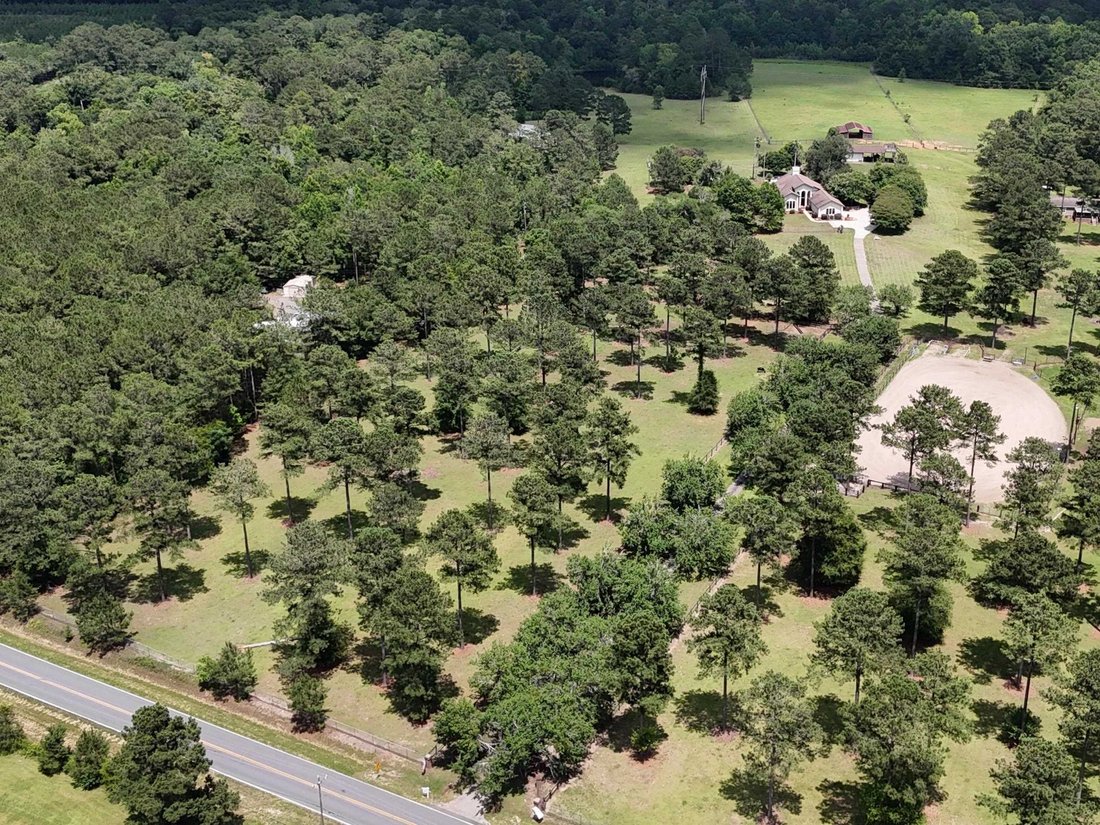 House in Havana, Florida, United States 5 - 18112441