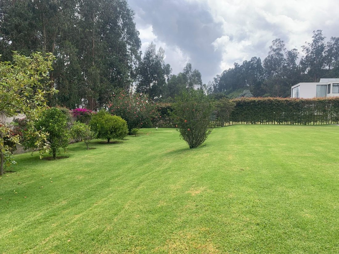House in Quito, Pichincha, Ecuador 5 - 18114588