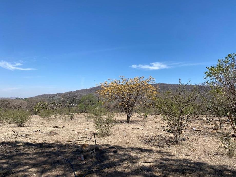 Land in Ixtlahuacán de los Membrillos, Mexico 5 - 18115378
