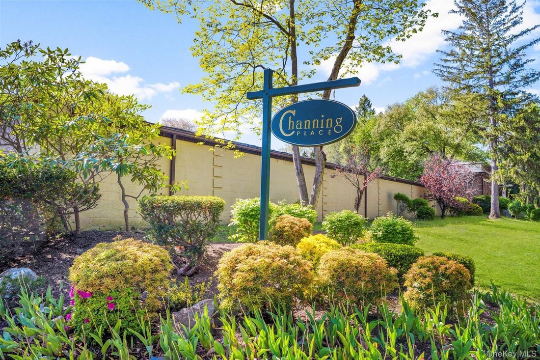 Co Op in Eastchester, New York, United States 1 - 18070173